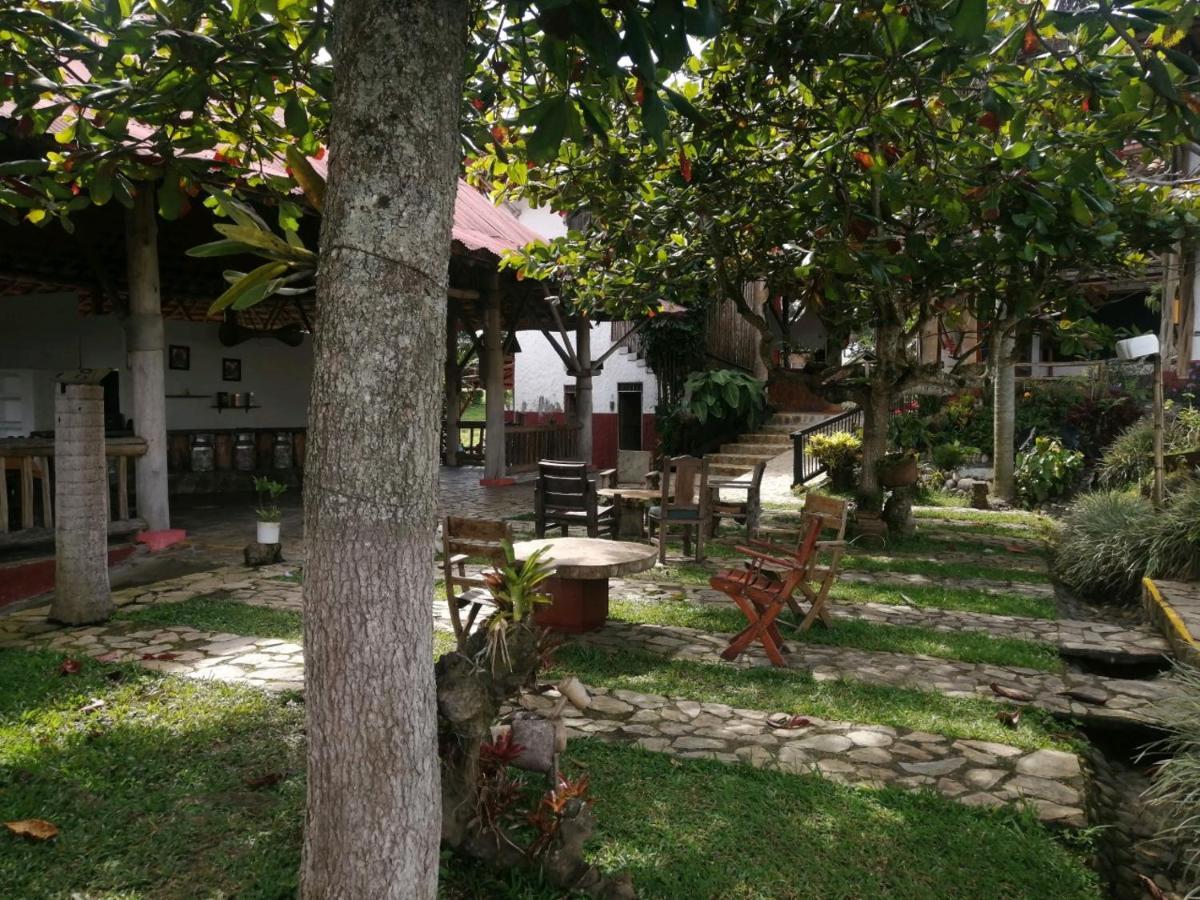 Finca Hotel Palmas Frente A Panaca 金巴亚 外观 照片