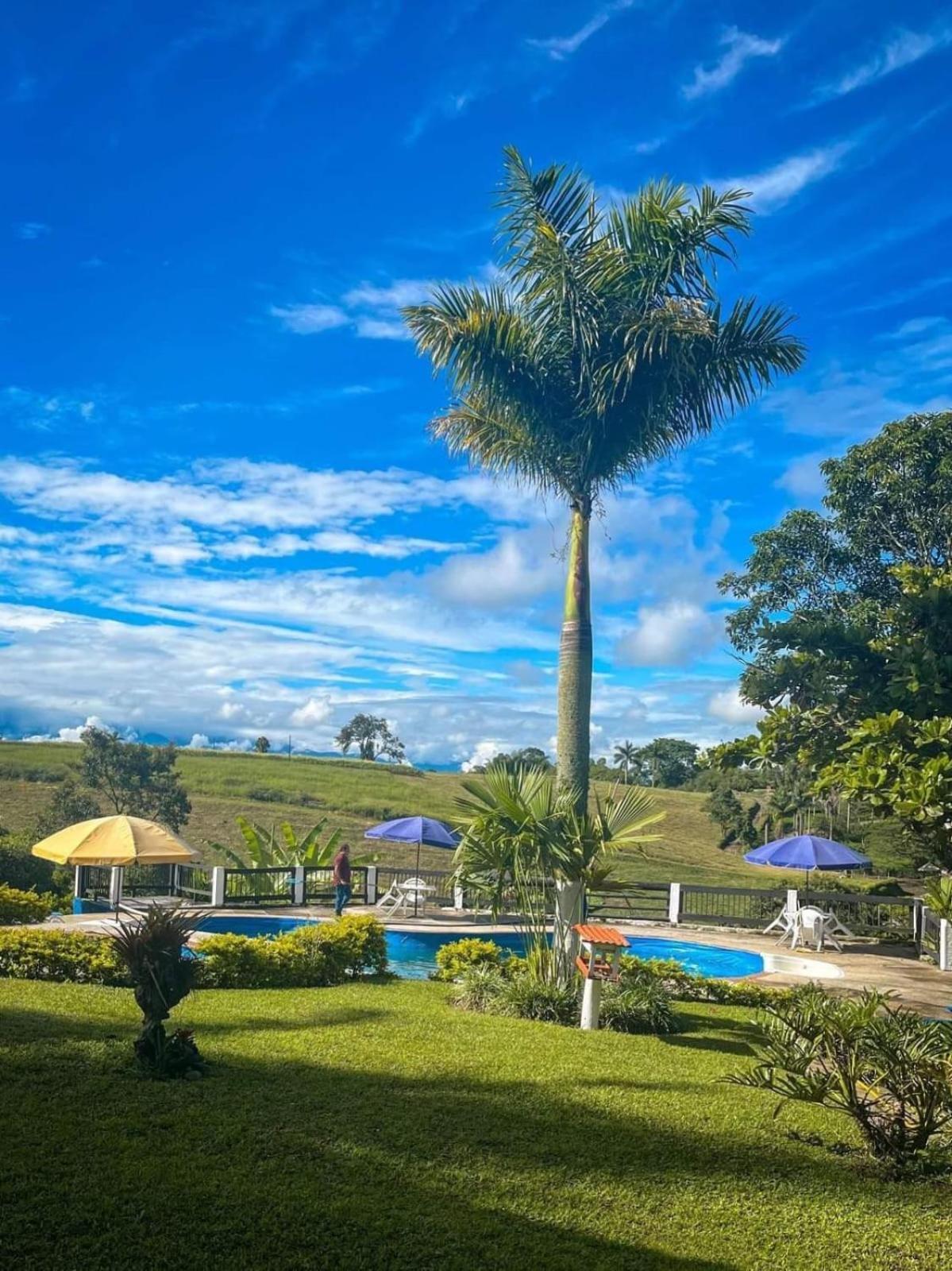 Finca Hotel Palmas Frente A Panaca 金巴亚 外观 照片