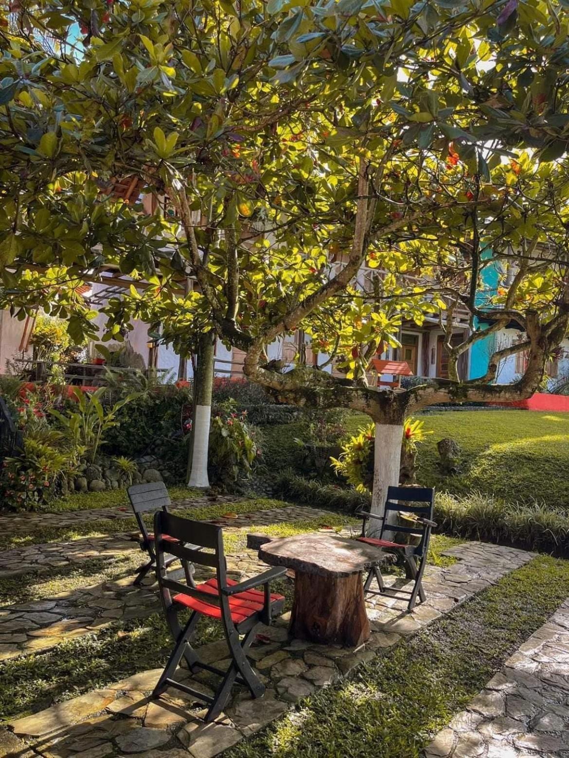 Finca Hotel Palmas Frente A Panaca 金巴亚 外观 照片