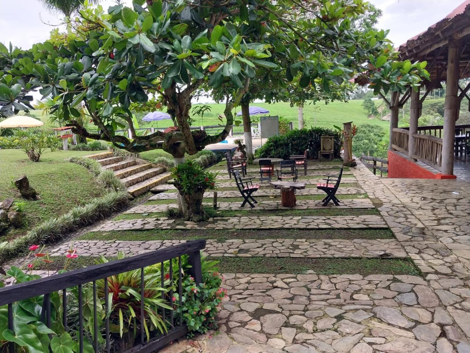 Finca Hotel Palmas Frente A Panaca 金巴亚 外观 照片
