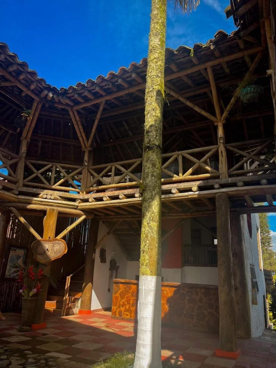 Finca Hotel Palmas Frente A Panaca 金巴亚 外观 照片